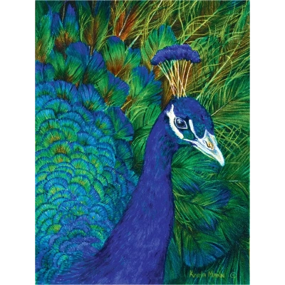 Peacock - Karla Mann