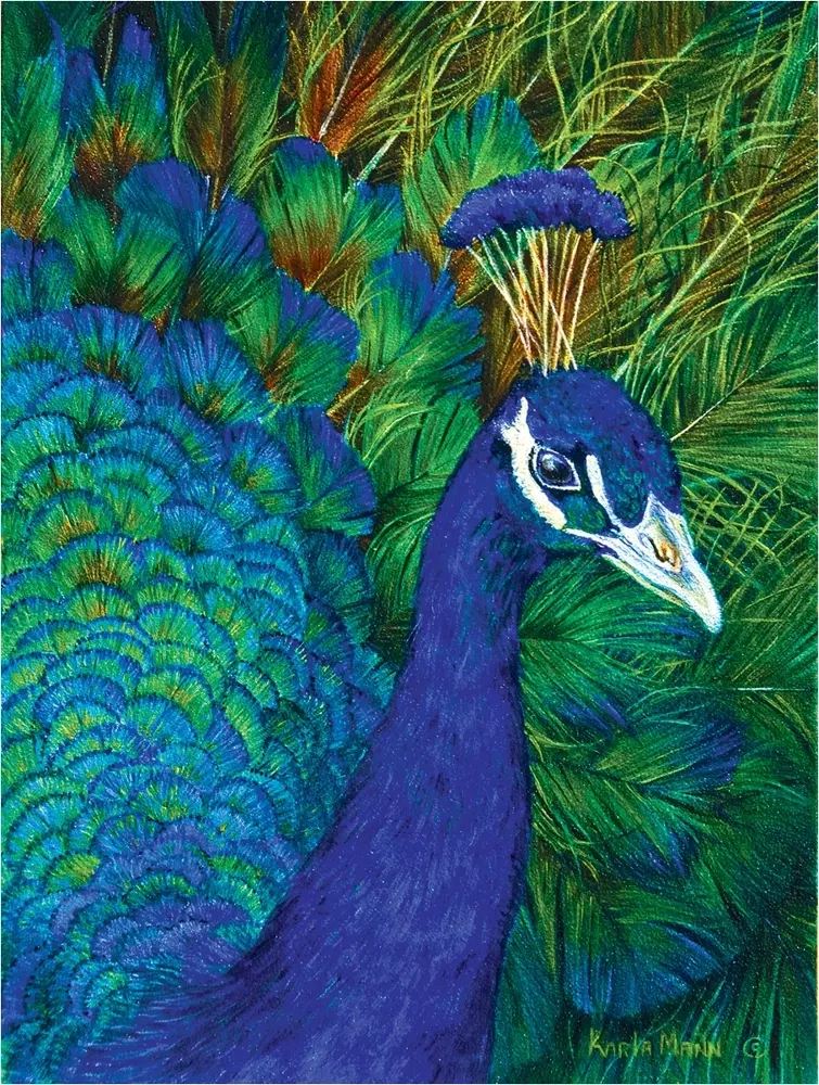 Peacock - Karla Mann