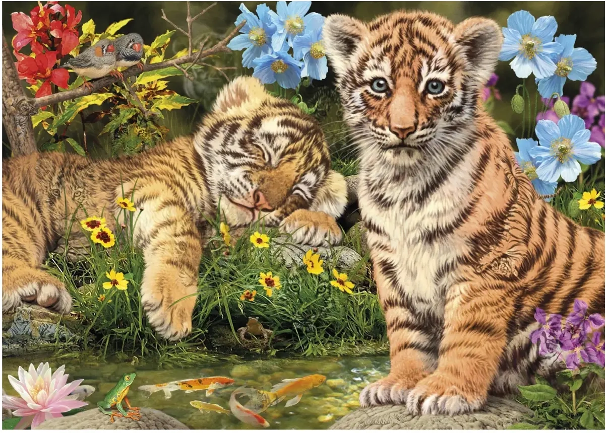 Tiger Babys - Secret Puzzle