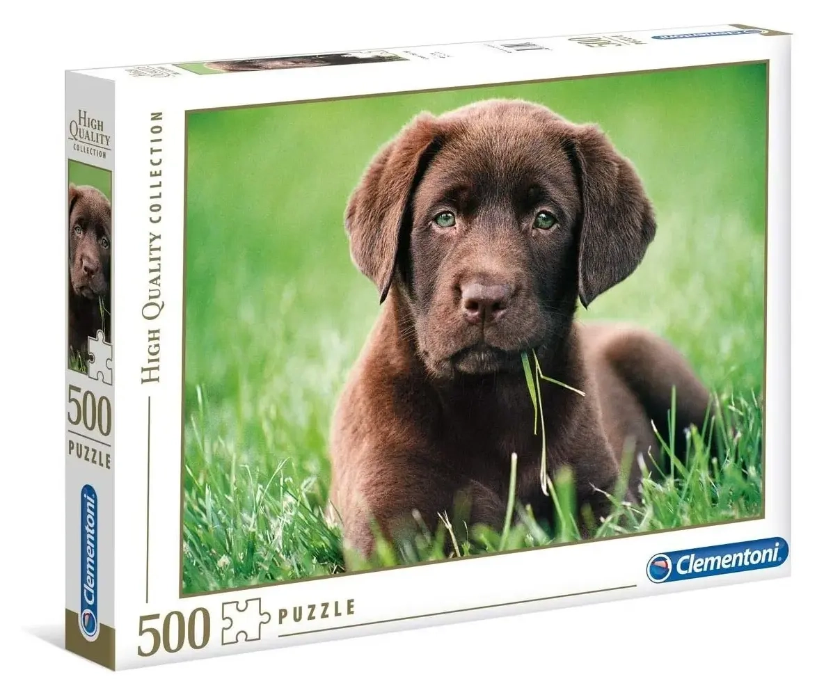 Labrador Welpe