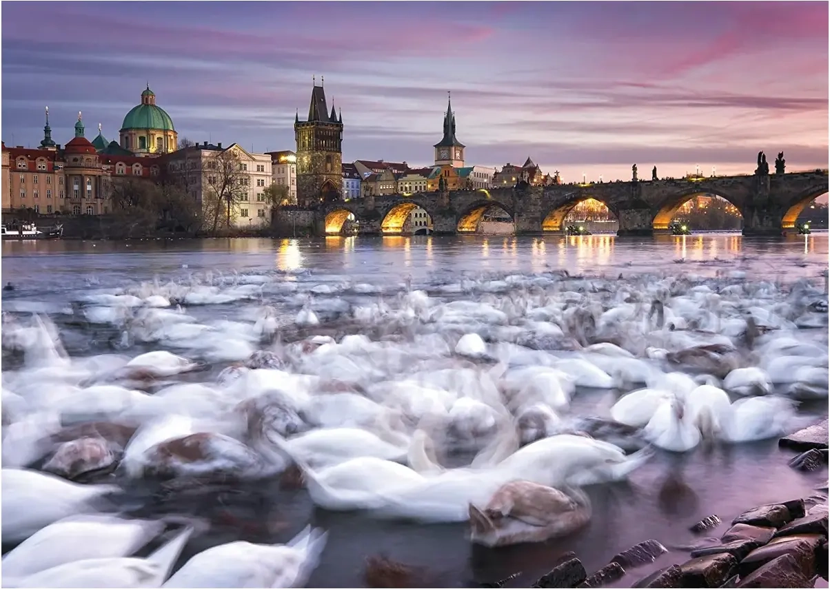Prag - Schwäne