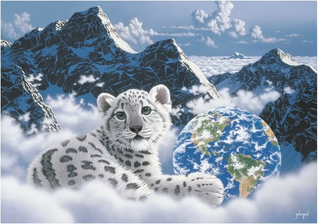 Bed of Clouds
