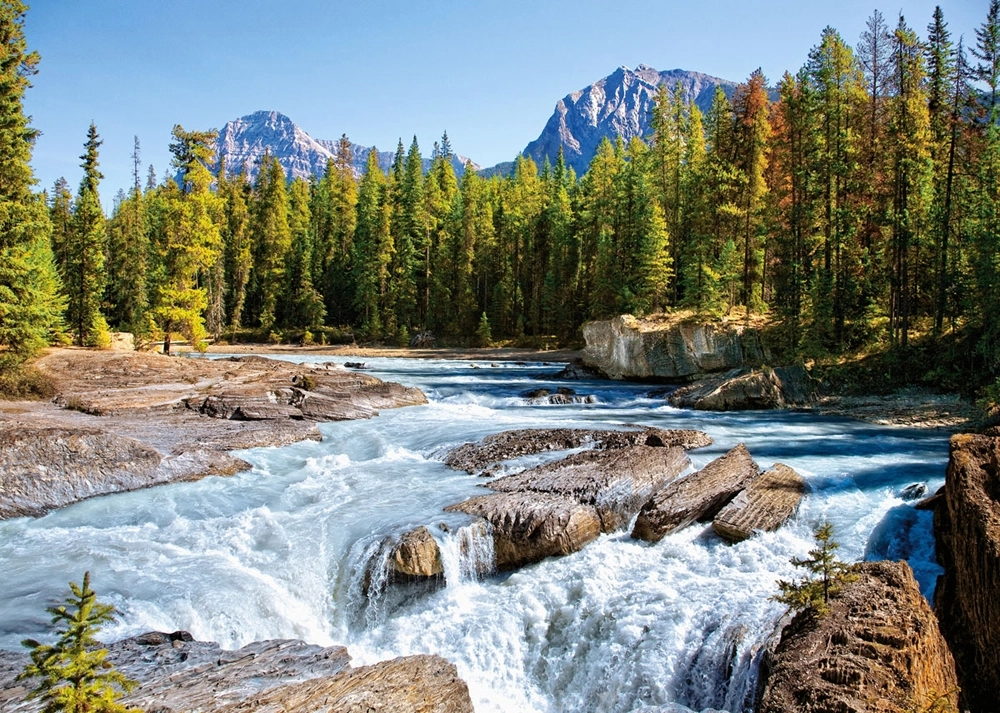 Athabasca River - Jasper National Park - Kanada