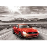 Ford Mustang GT - Fifty Years of Power