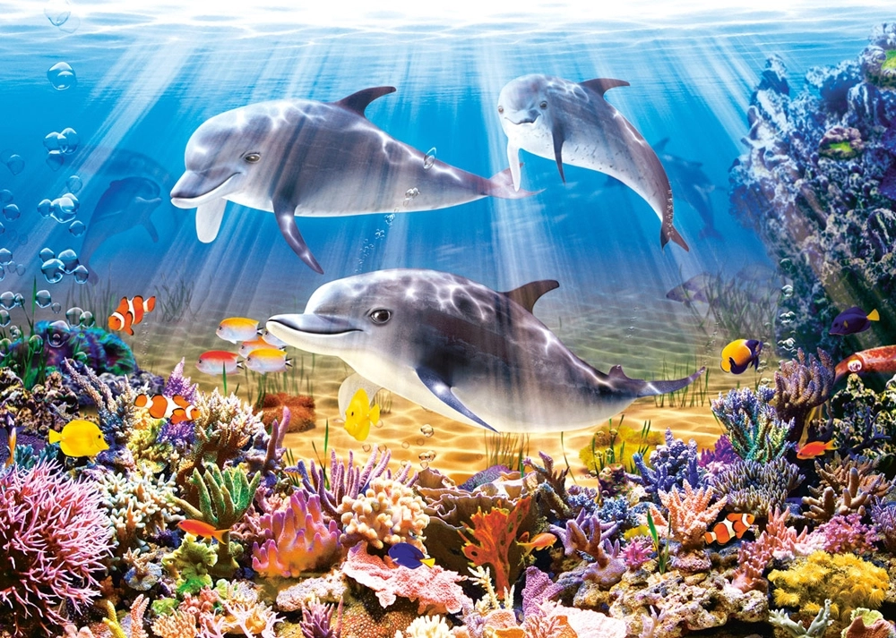 Dolphins Underwater