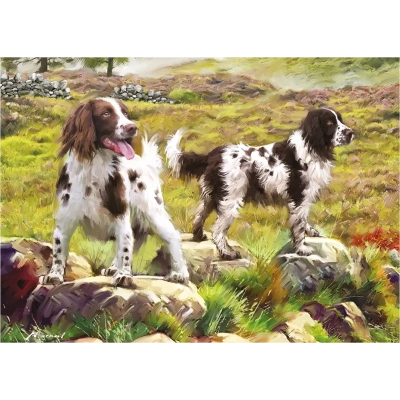 Spaniels On The Moor