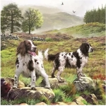Spaniels On The Moor