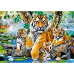 Tigers by the Stream