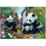 Pandas - Secret Puzzle