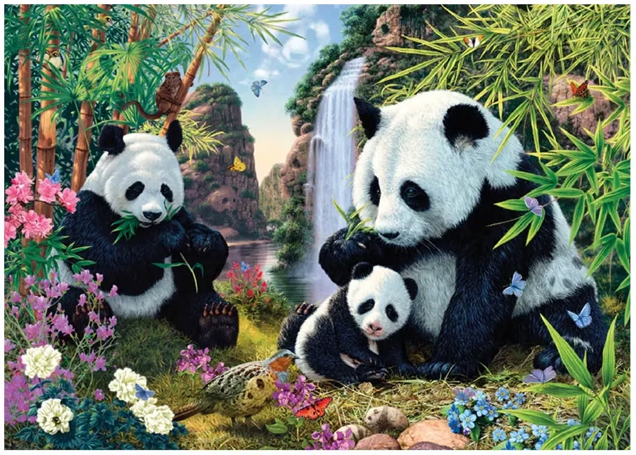 Pandas - Secret Puzzle