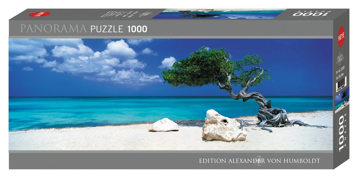 Divi Divi Tree - Aruba Netherlands Antilles