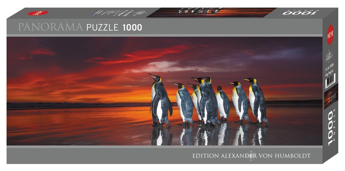 King Penguins - Falklands UK