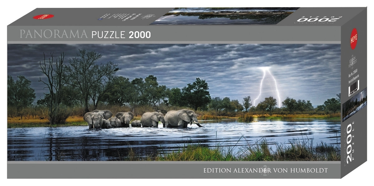 Herd of Elephants - Okavango Delta Botswana