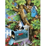 Kitty and Birdhouse - Lori Schory