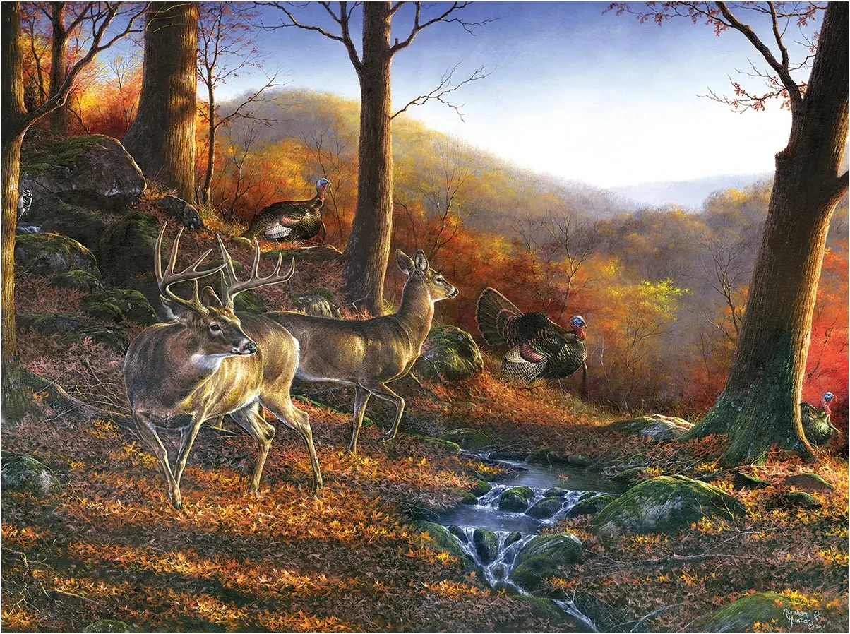 Shawnee Hills - Abraham Hunter