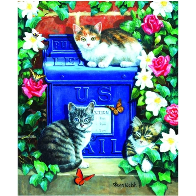 Mail Box Kittens - Kevin Walsh