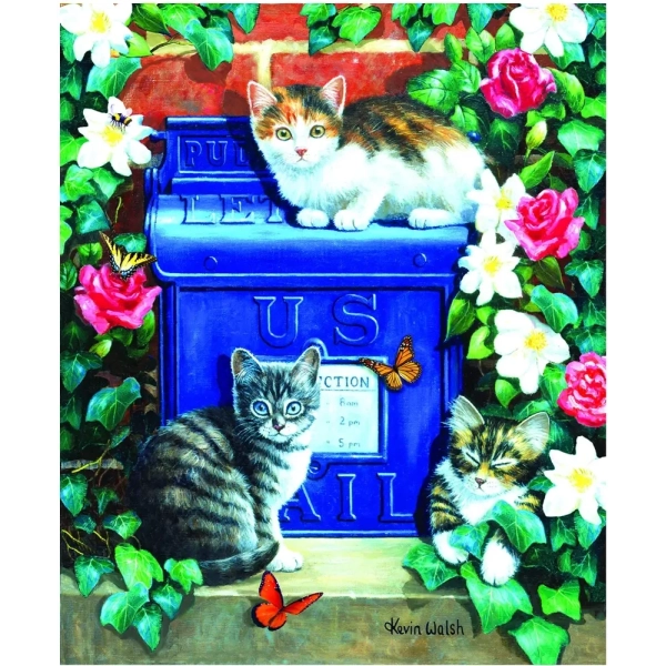 Mail Box Kittens - Kevin Walsh