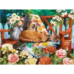 Garden Cats