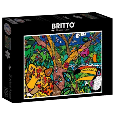 Romero Britto - Amazon