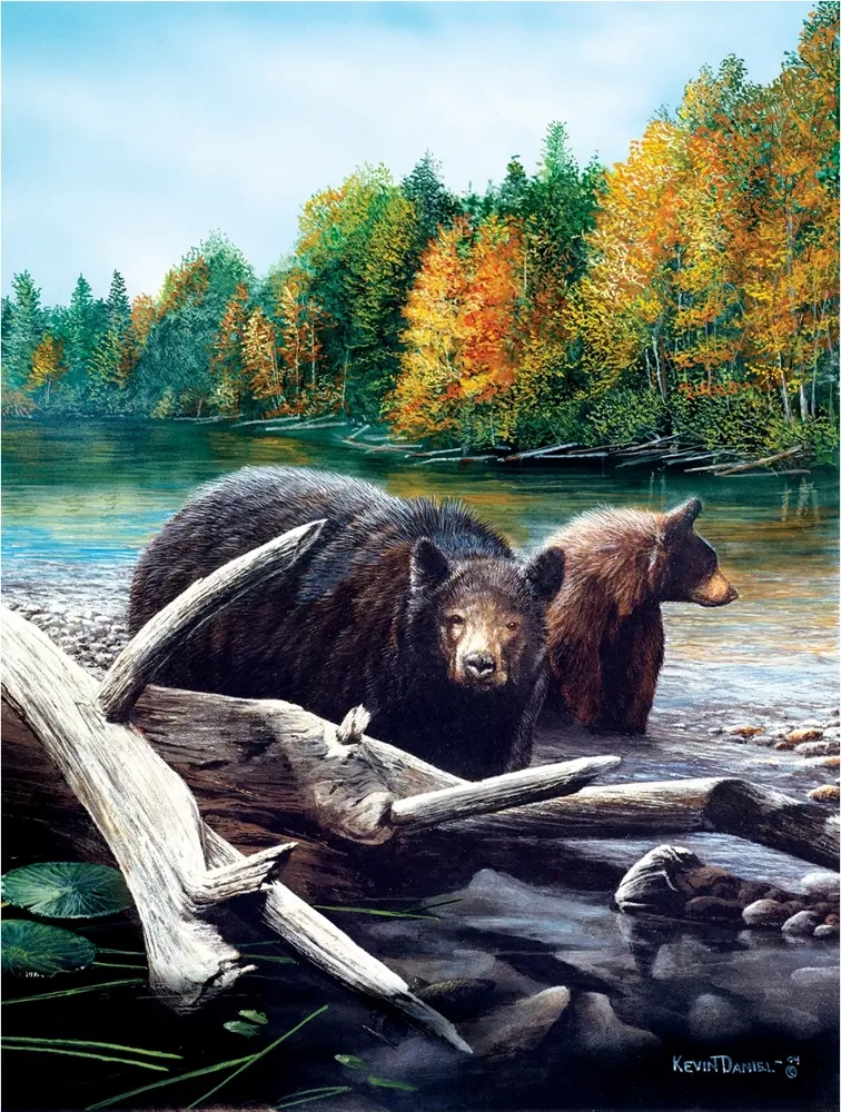 Morning Venture - Kevin Daniel