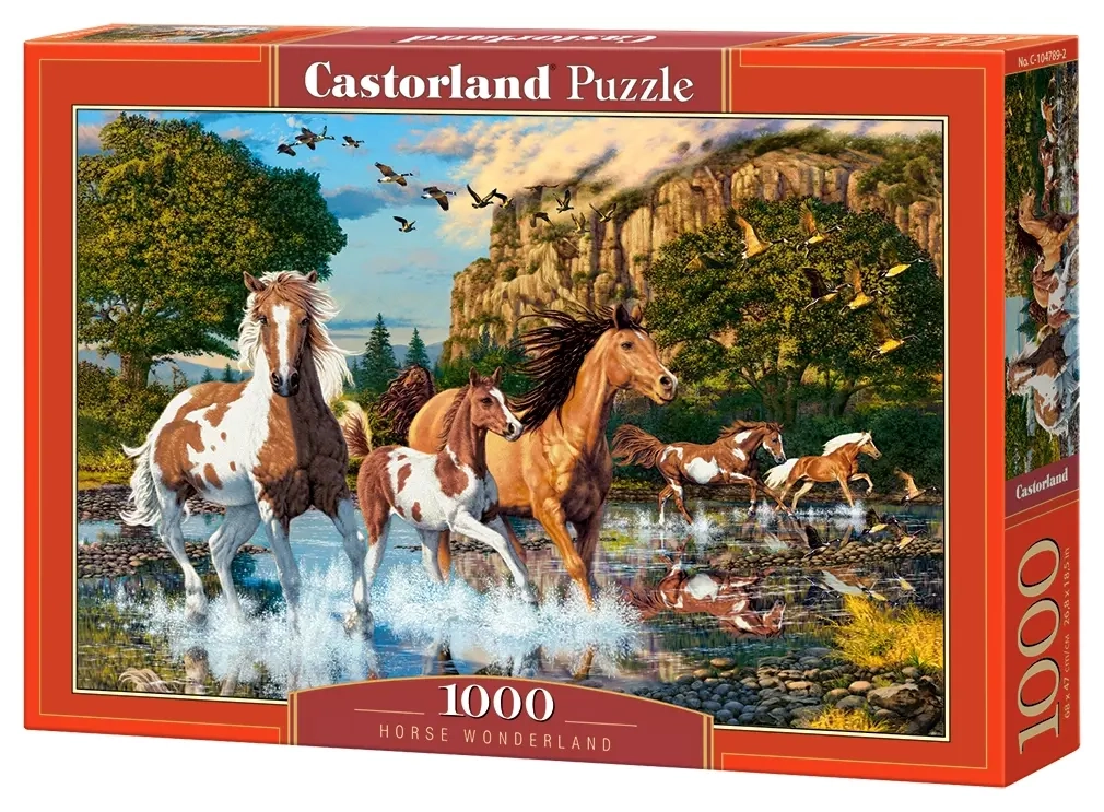 Horse Wonderland