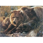 Grizzly Family