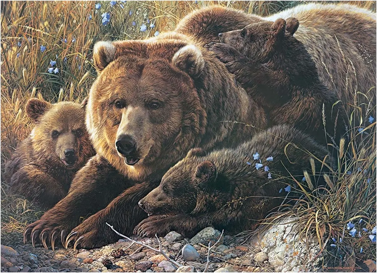 Grizzly Family