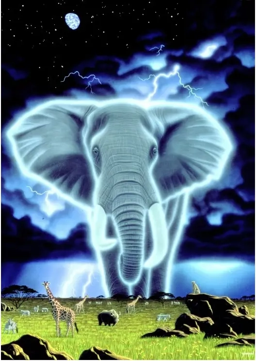 Spirit of Africa - Schim Schimmel