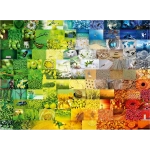 Wonderful Colours