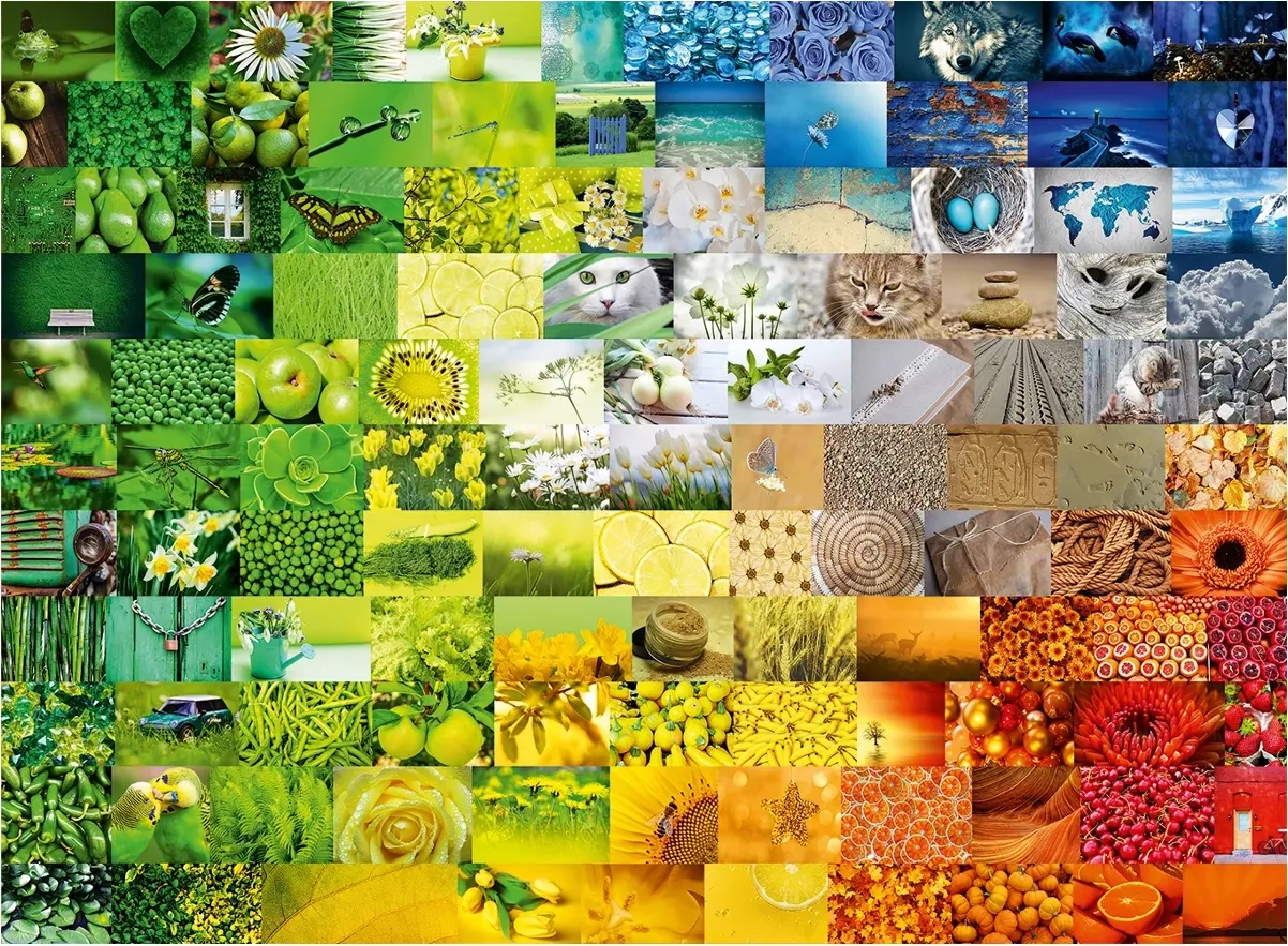 Wonderful Colours
