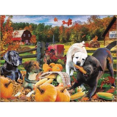 Harvest Helpers - Rafael Trujillo