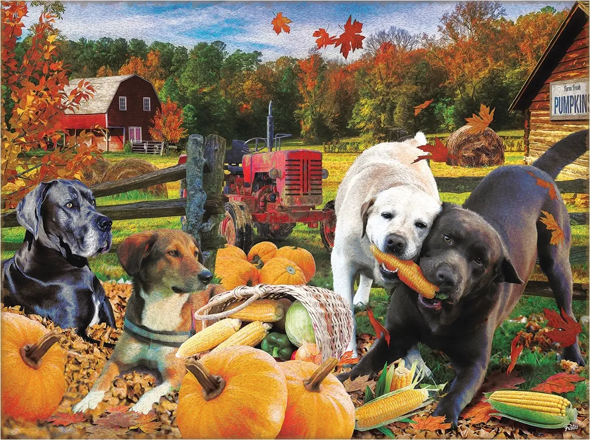 Harvest Helpers - Rafael Trujillo