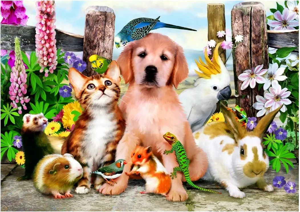 Good Companions