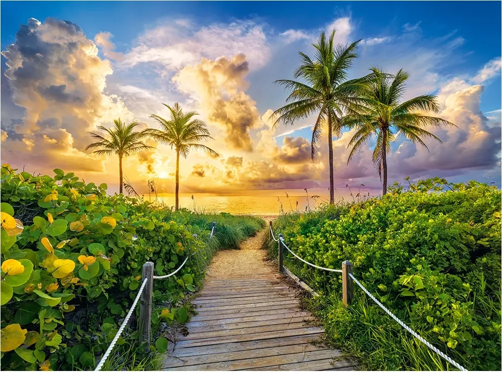 Colorful Sunrise in Miami - USA