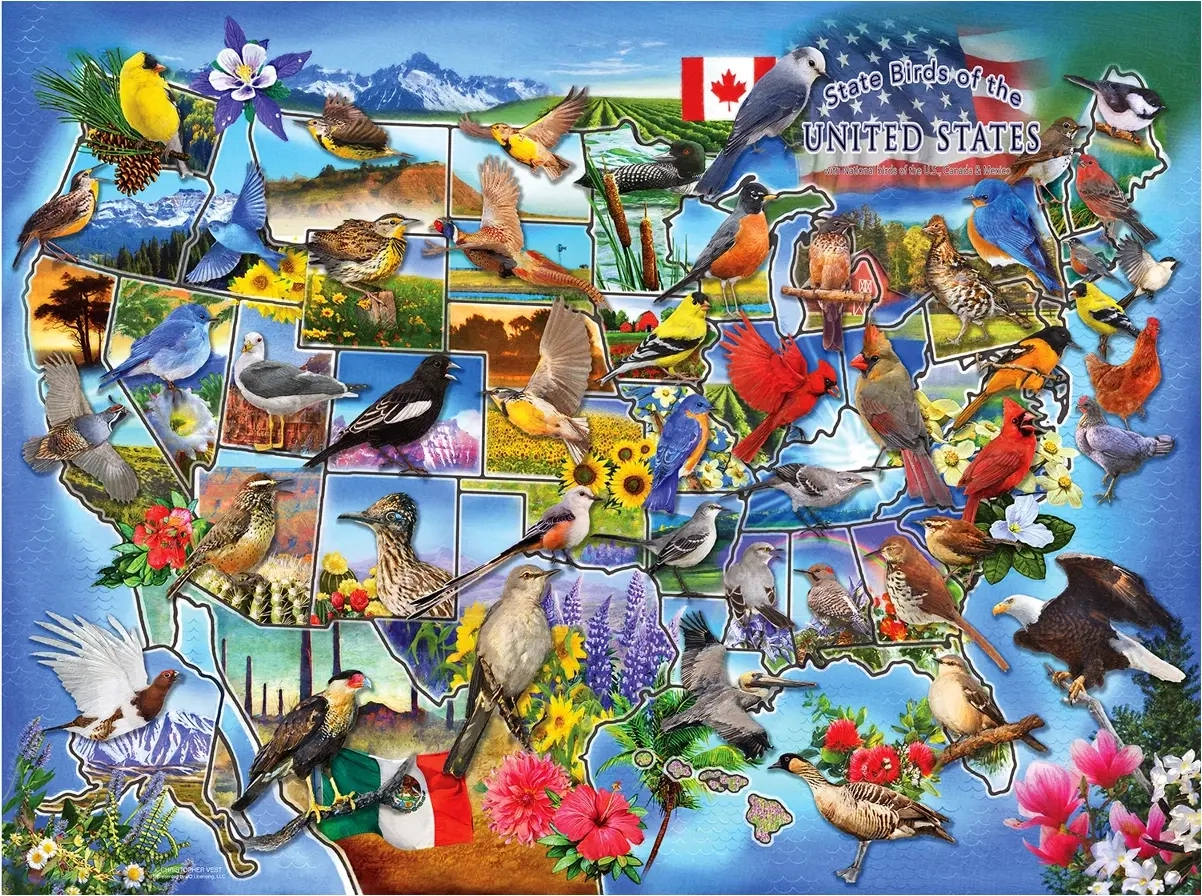 State Birds of the U.S.