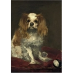 Edouard Manet: A King Charles Spaniel, 1866