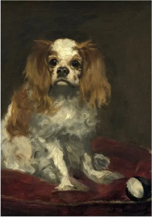 Edouard Manet: A King Charles Spaniel, 1866