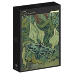 Van Gogh - Giant Peacock Moth, 1889