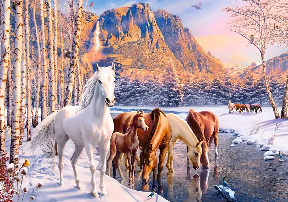 Pferde im Winter