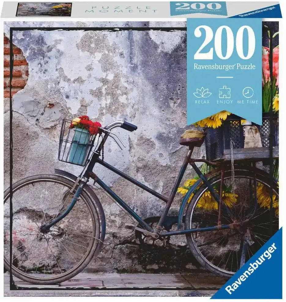 Bicycle - Puzzle Moment