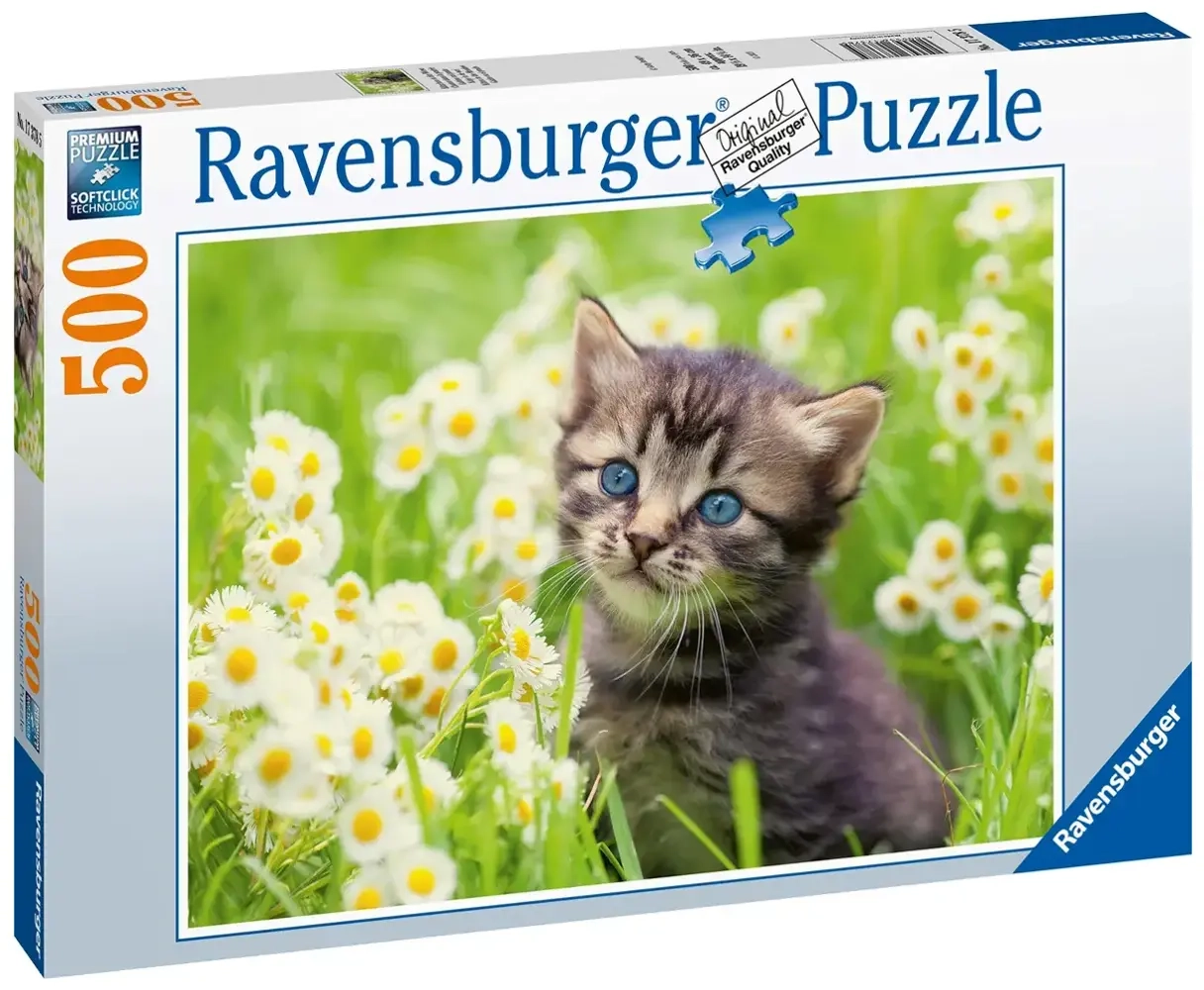 Kätzchen in der Wiese