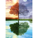 Jahreszeiten-Baum