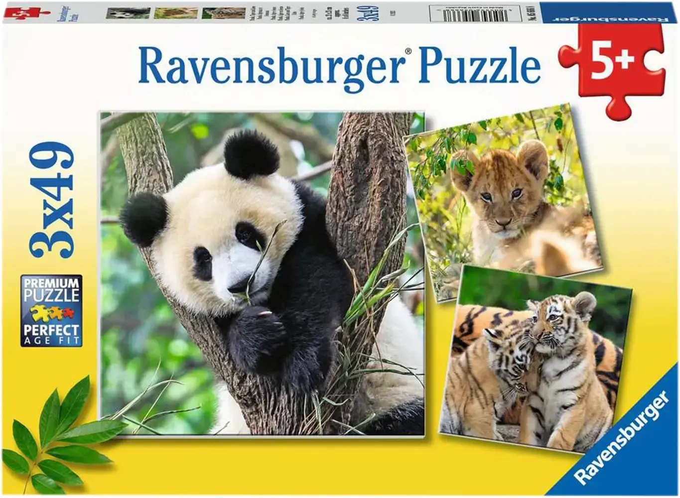 Panda, Tiger und Löwe