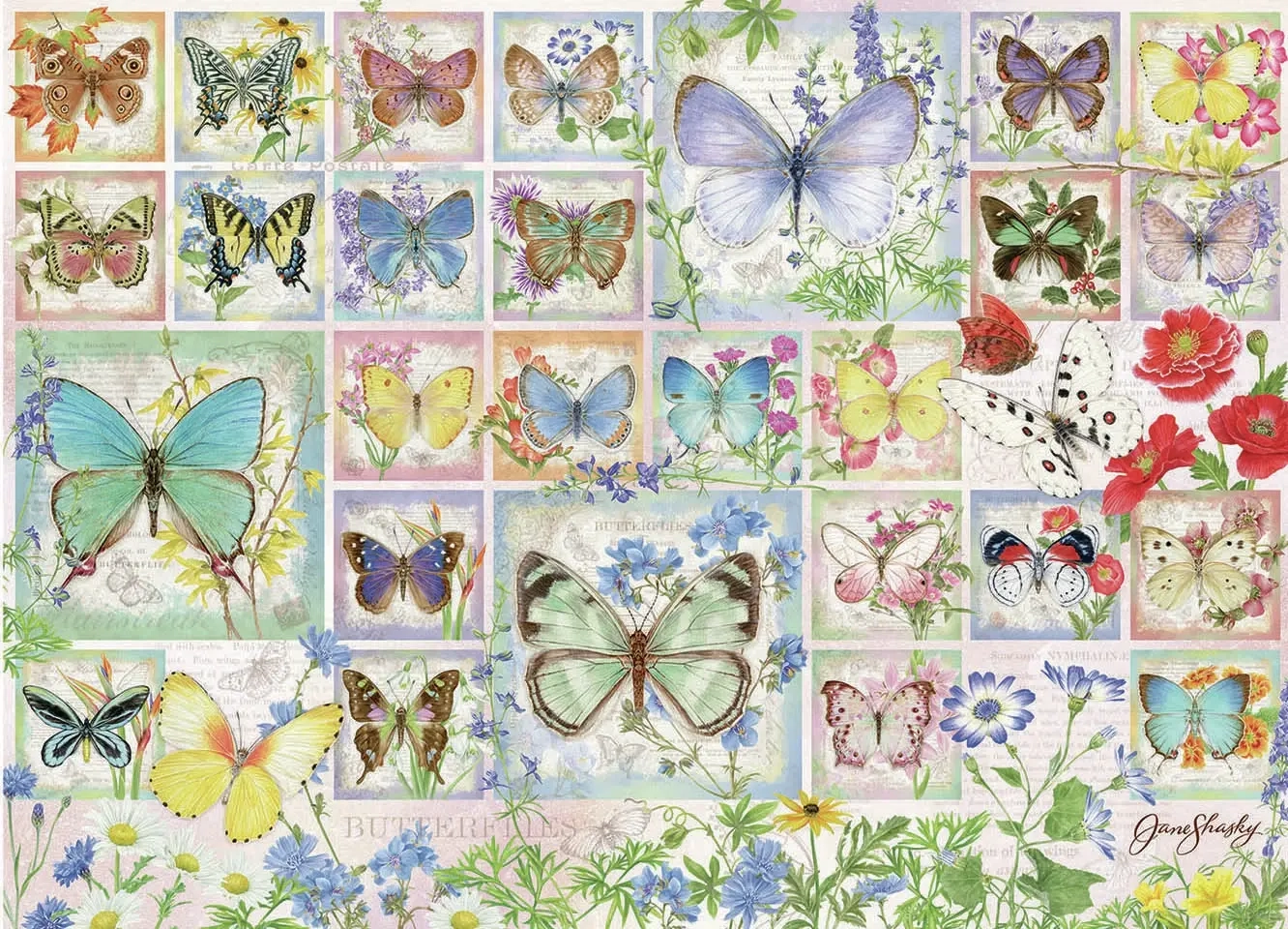 Bunte Schmetterling Collage