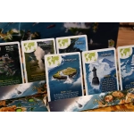 Expeditionen um die Welt