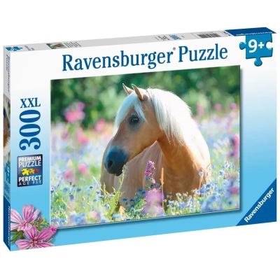 Pferd im Blumenmeer