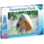 Pferd im Blumenmeer