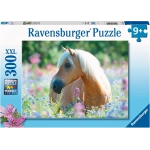 Pferd im Blumenmeer