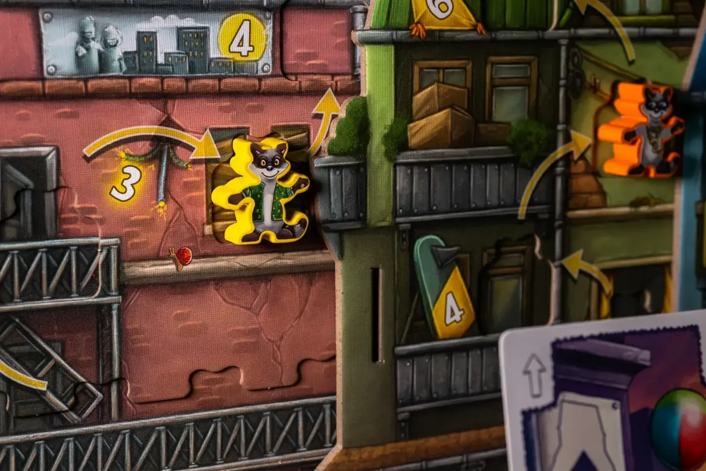 Raccoon Robbers