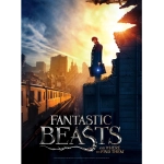Fantastic Beasts - Poster Puzzle - New York